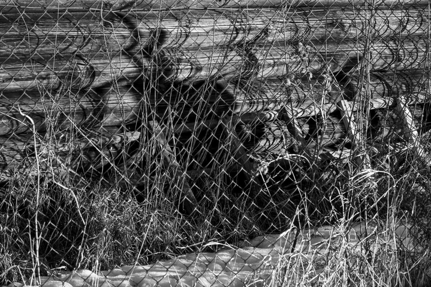 Жизнь вокруг