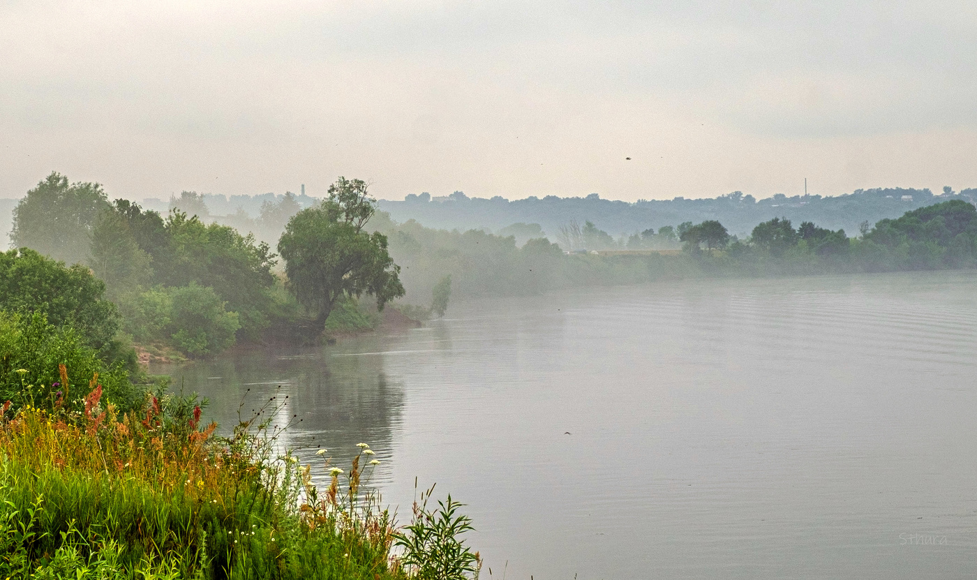 Летнее утро.