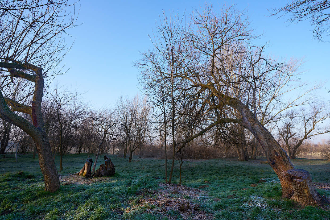 морозно 8 марта