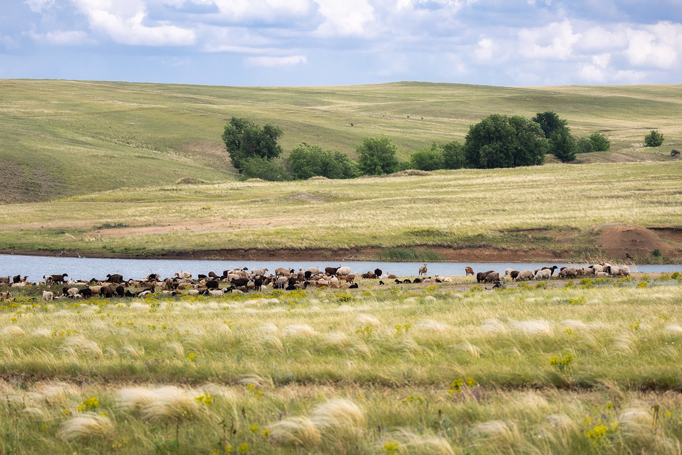 Сакман у пруда