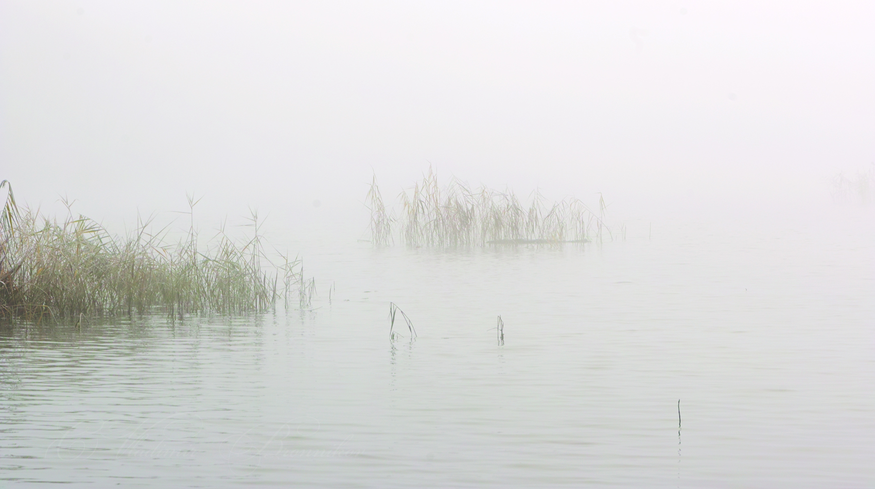 Осенние туманы