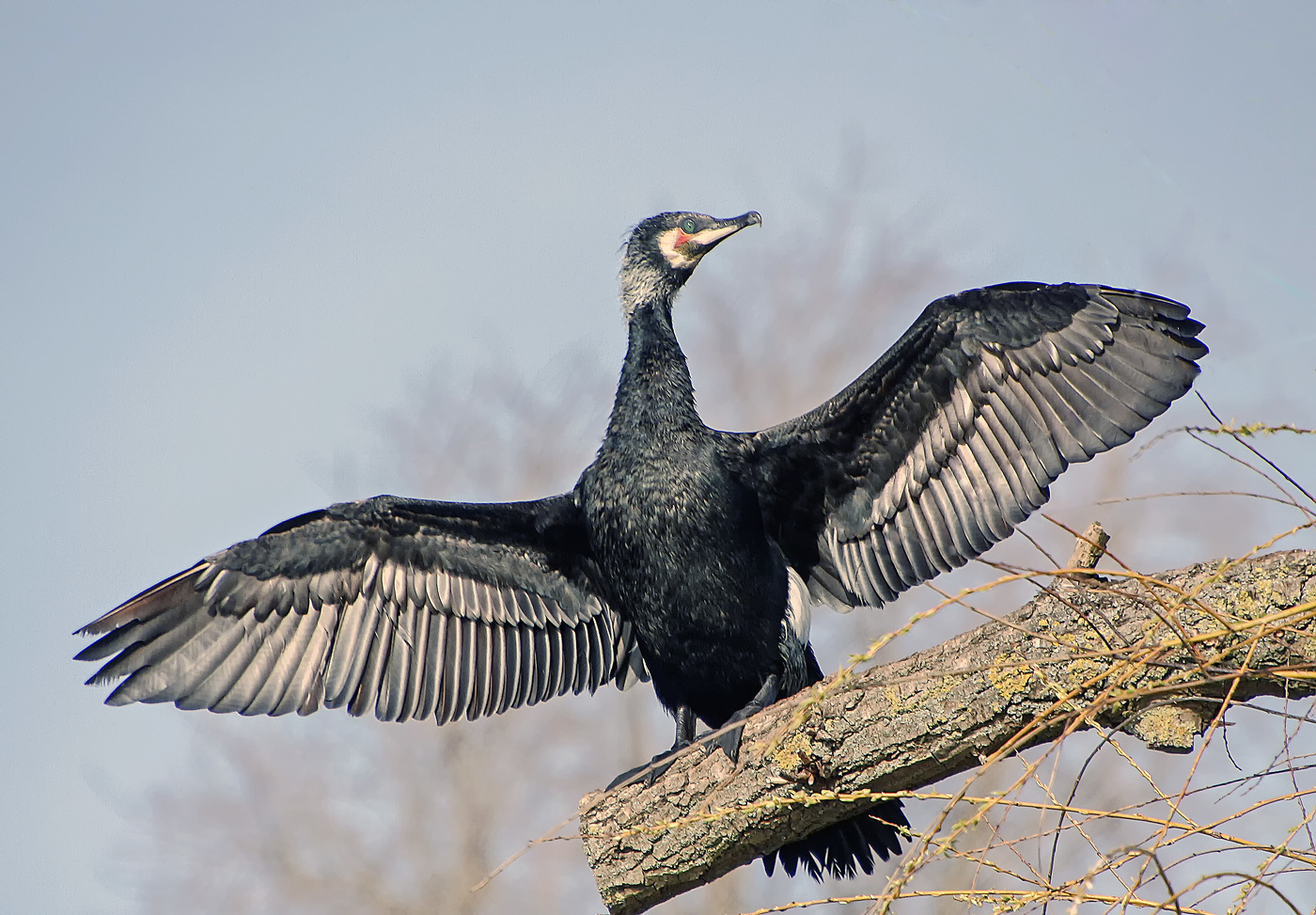 На просушке