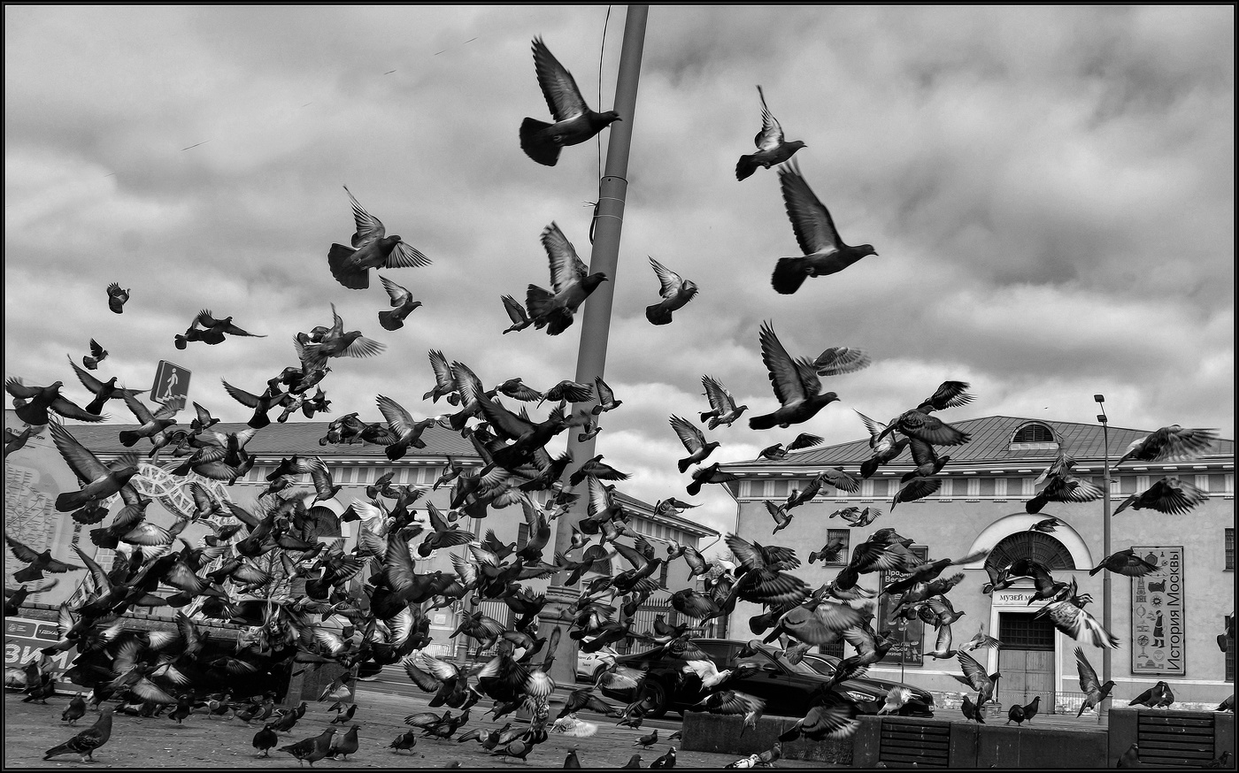 ..... "Набрать высоту" .....