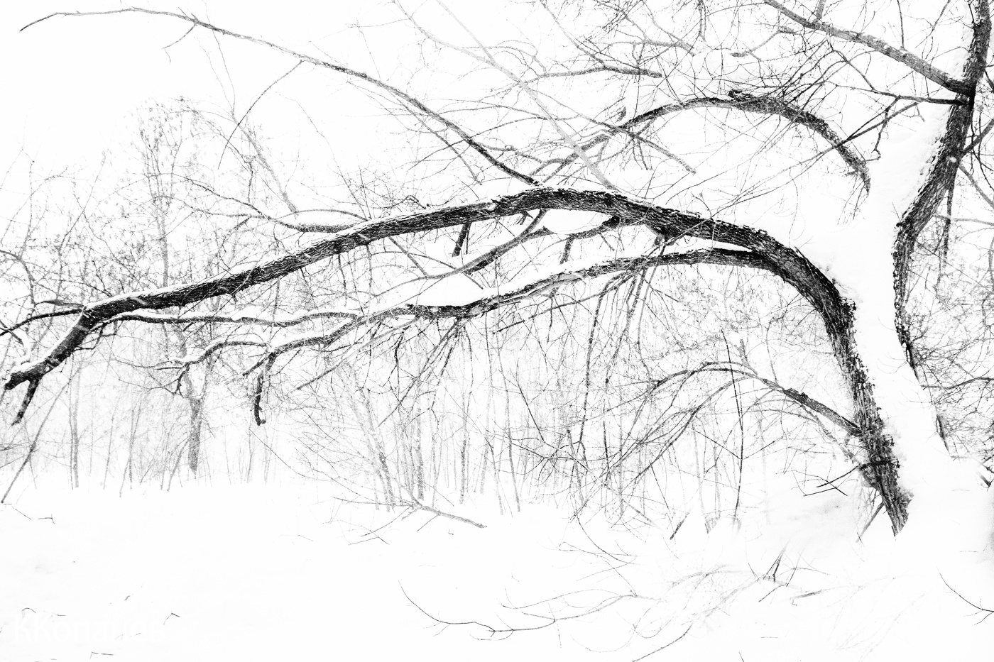 Графика снегопада