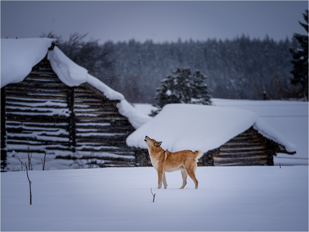 Зима - холода...