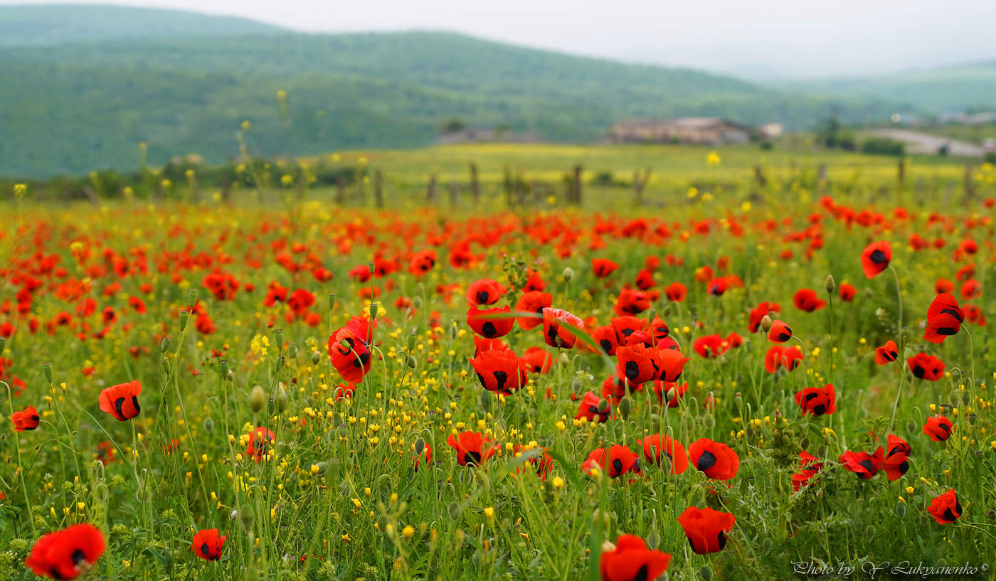 Весеннее настроение...