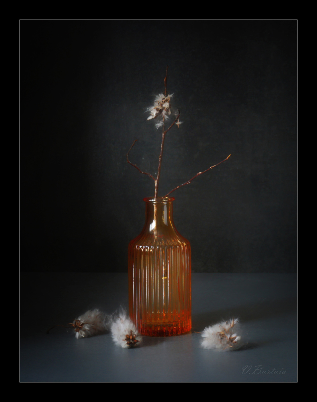 Пузырёк поздней осени