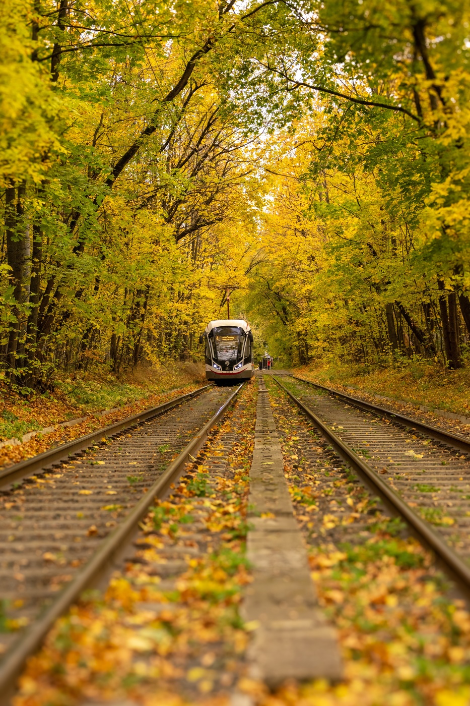 Осенний трамвай