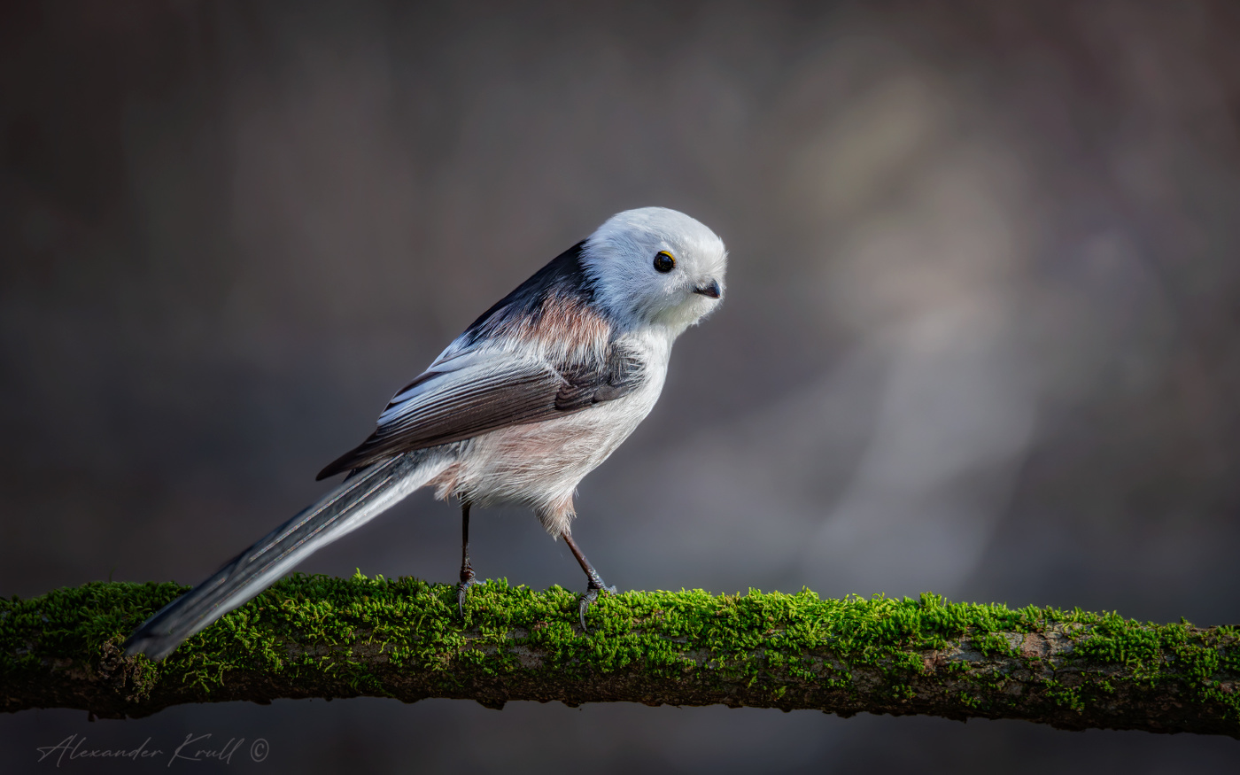 Оглянуться...