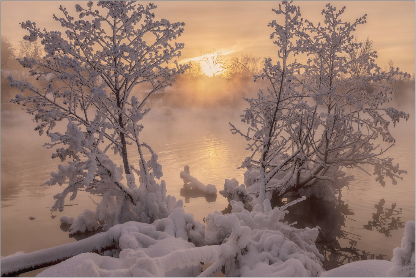 Золотой рассвет января.