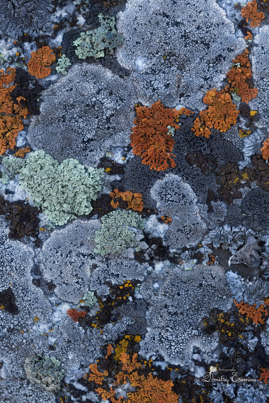 Карта сказочного королевства...