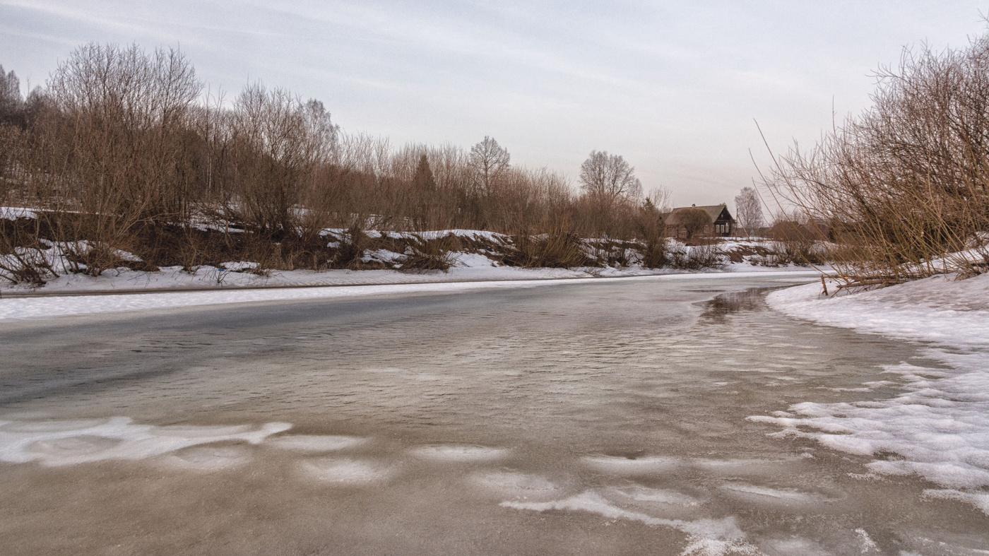 Жизнь вокруг