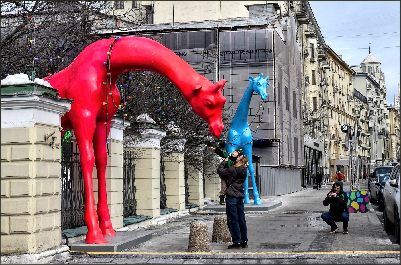 .... Красный жираф ....