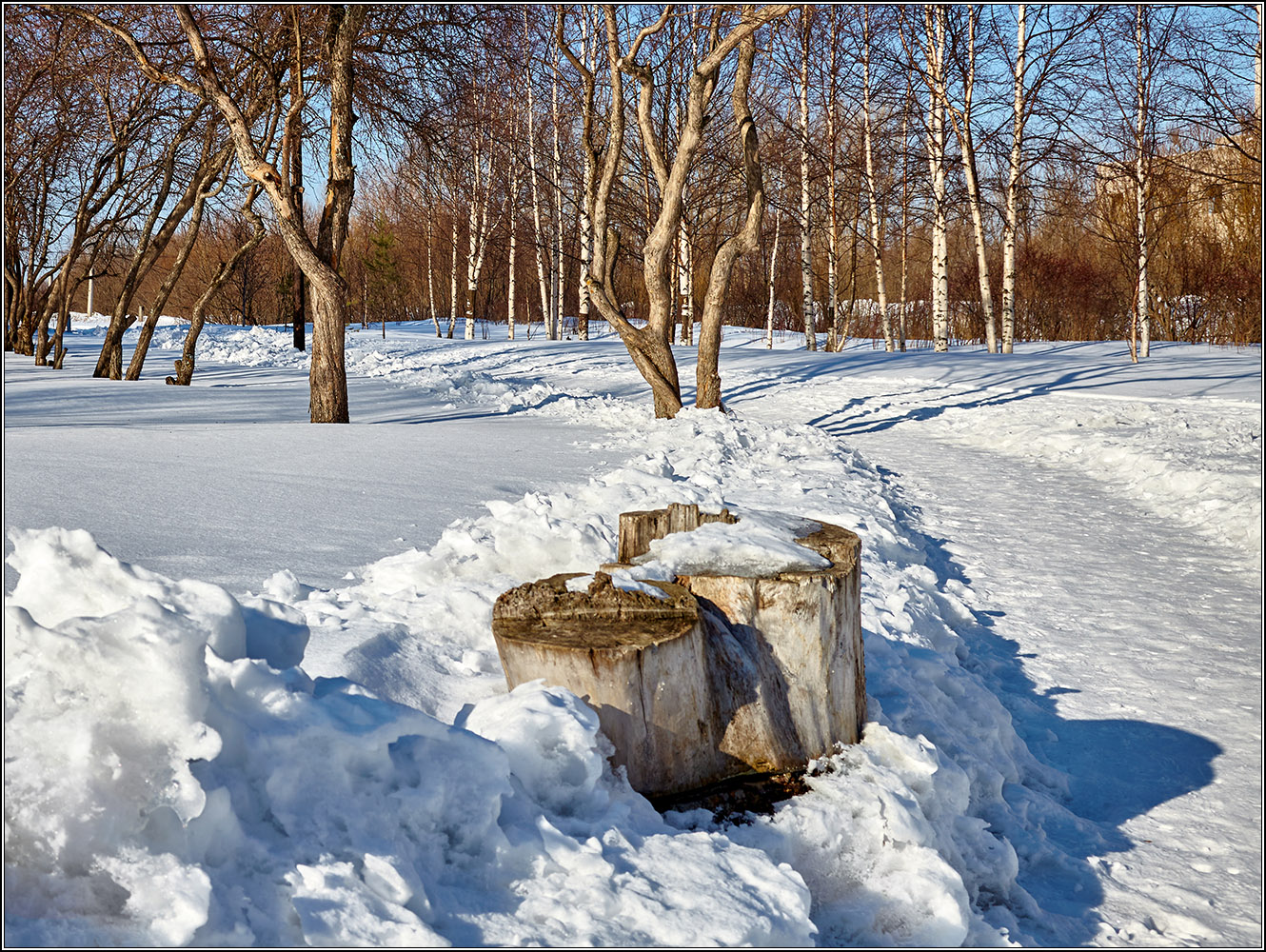 И даже пень в весенний день...