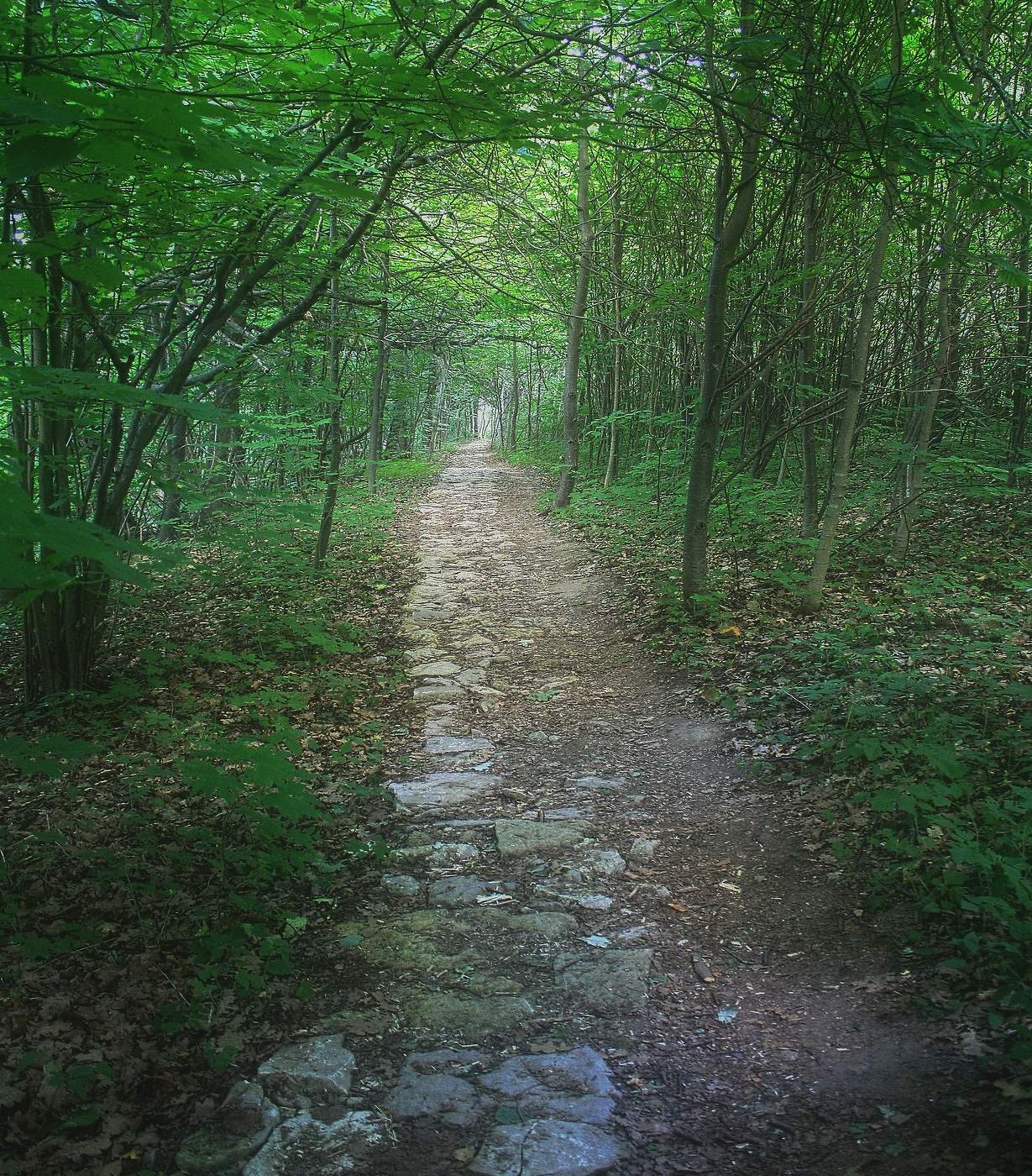 По камушкам