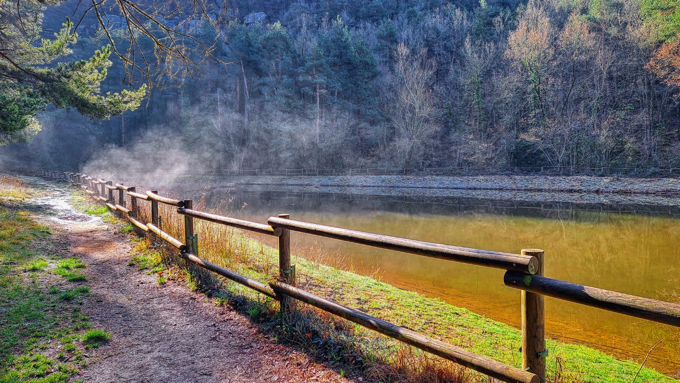 Prades - Llac de Prades (bassa) - Baix Camp