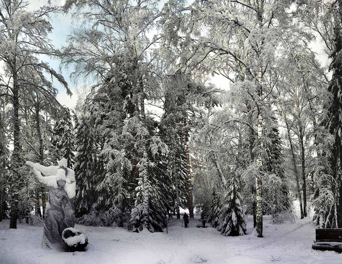 In der Park im Winter