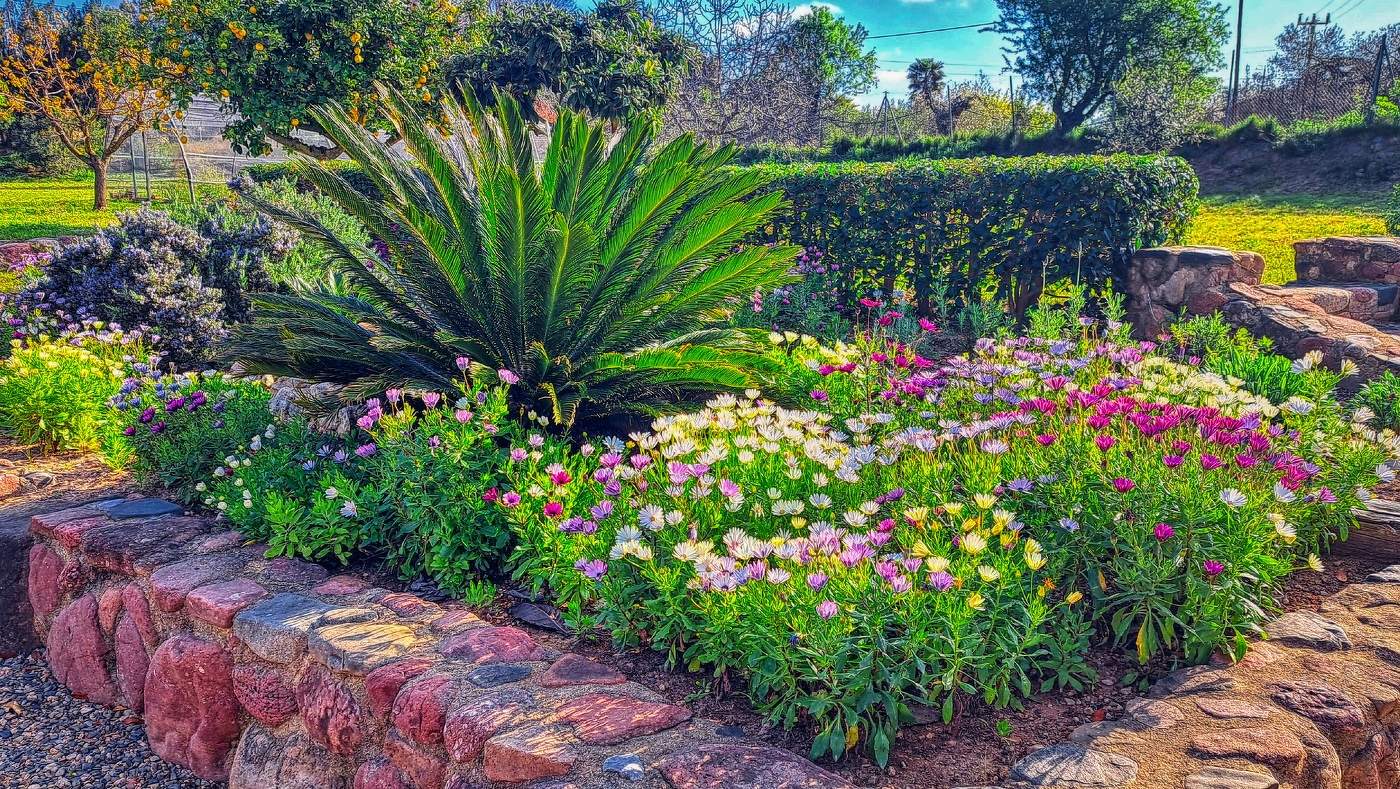 Reus - Masia - Baix Camp