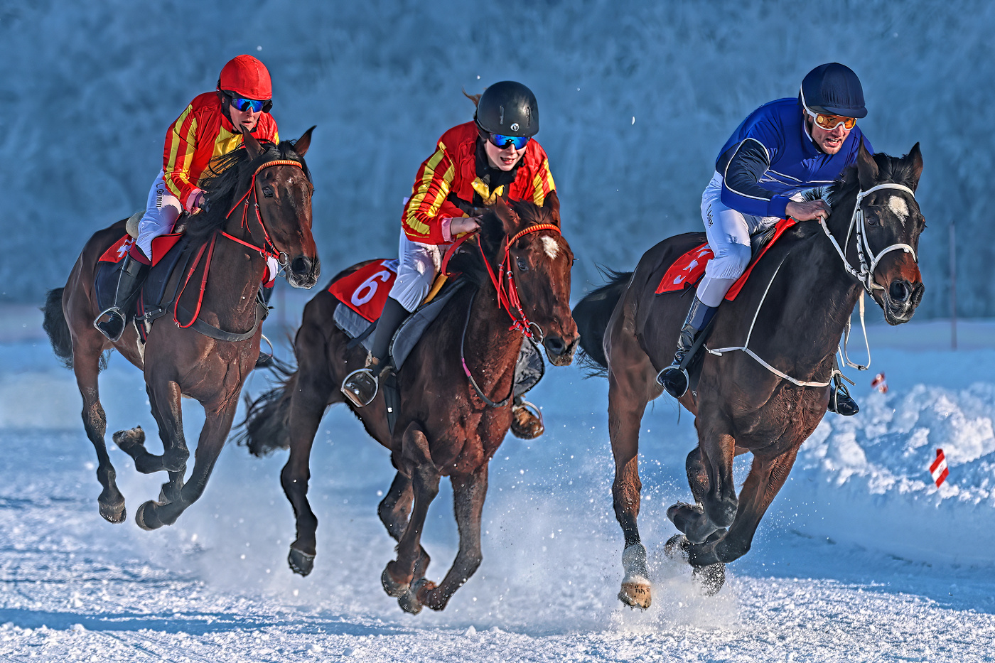 Winter - Galopp