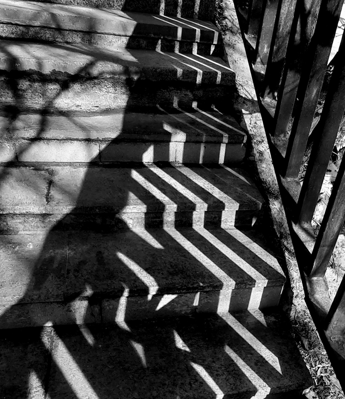 Schatten