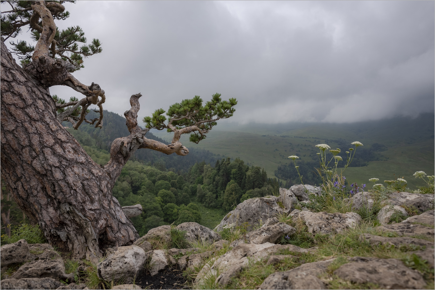 Unter einem Schleier der Wolken