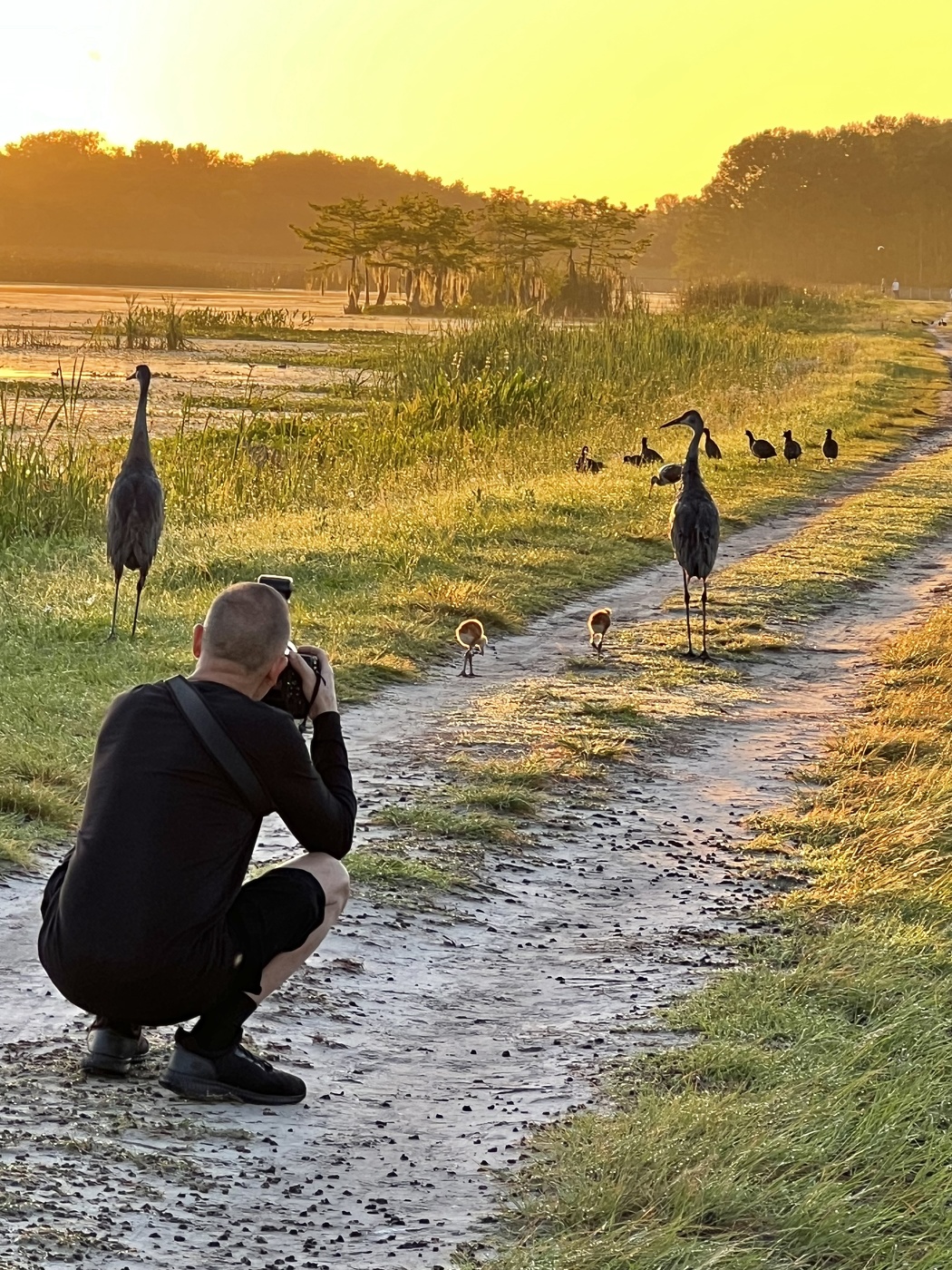 Birder at sunrise