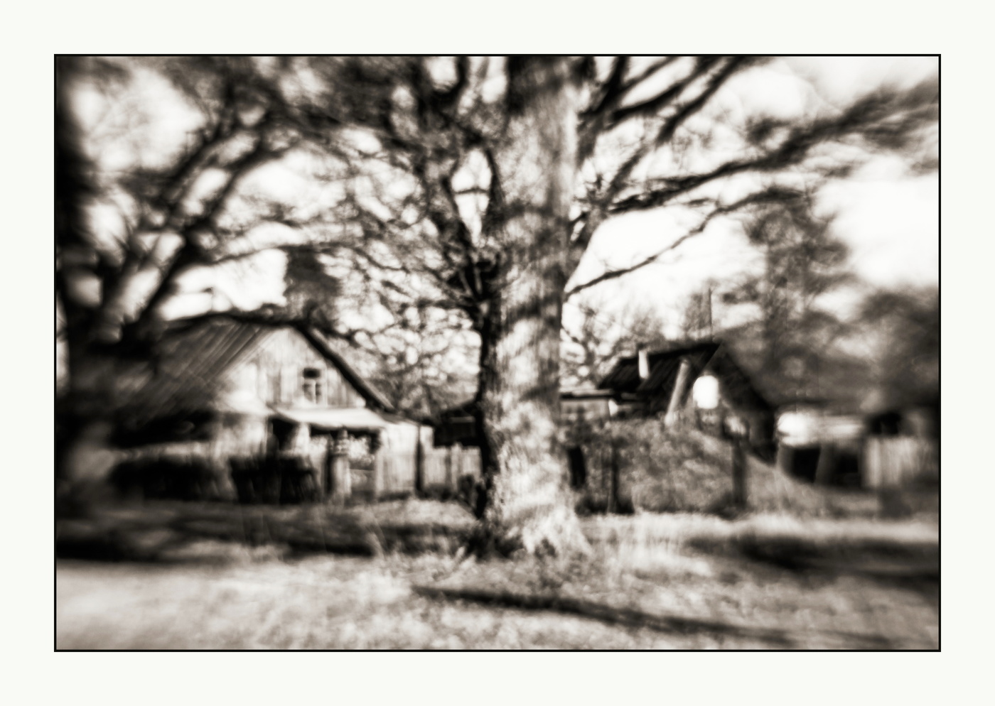 Der Geruch von Frühling