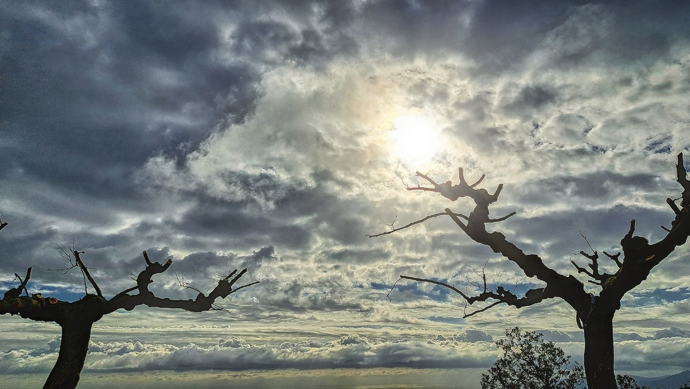 Alforja - visió des de Puigcerver - Baix Camp