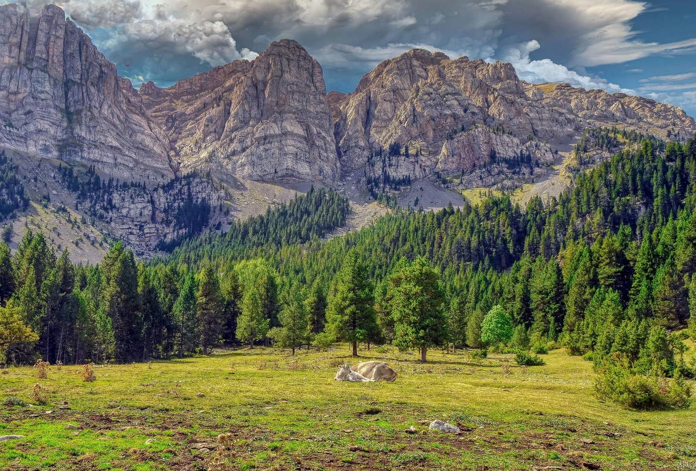 Estana - Prat Cadí - Baixa Cerdanya