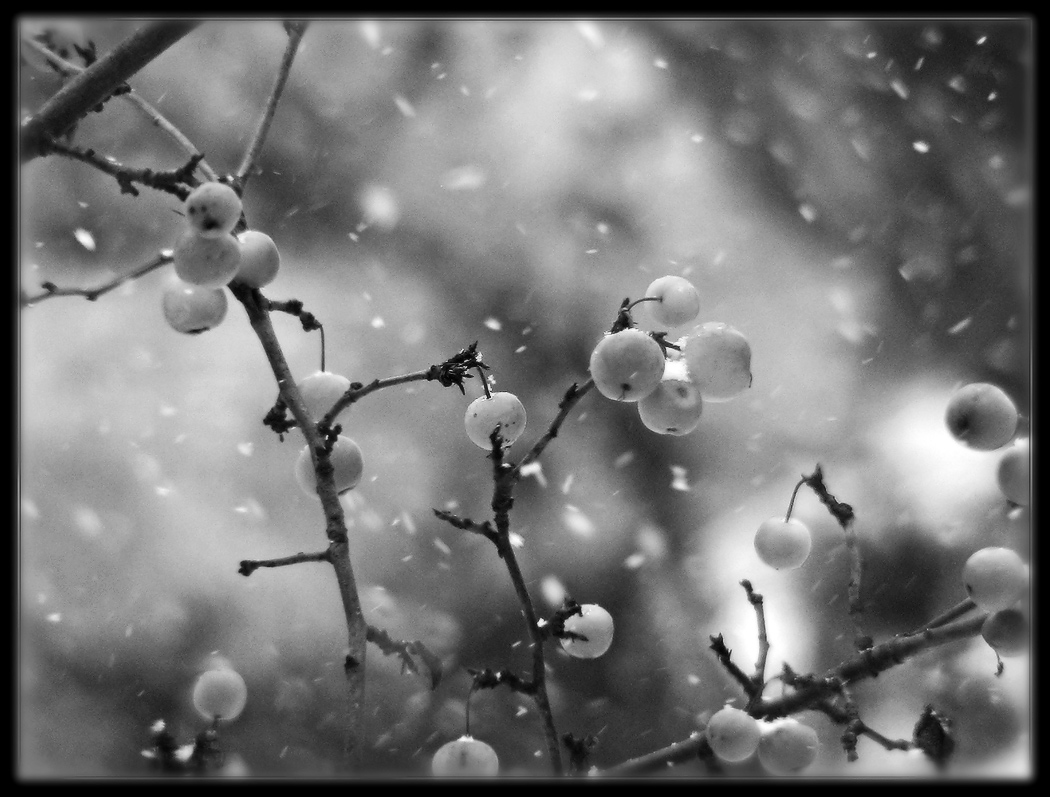 нет надежды на апрель