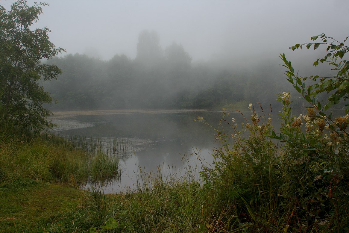 ...клёвое место...