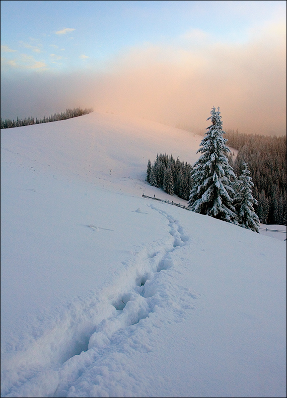 Зимний карпатский этюд #11