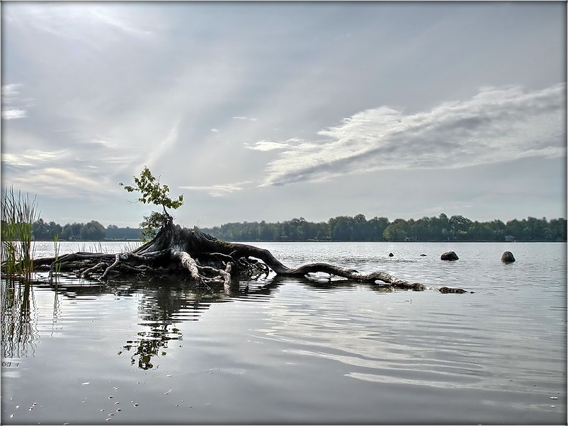 і будзе ранак, і новы дзень..