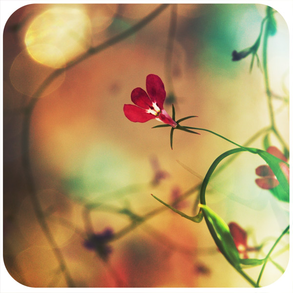 летние настроения