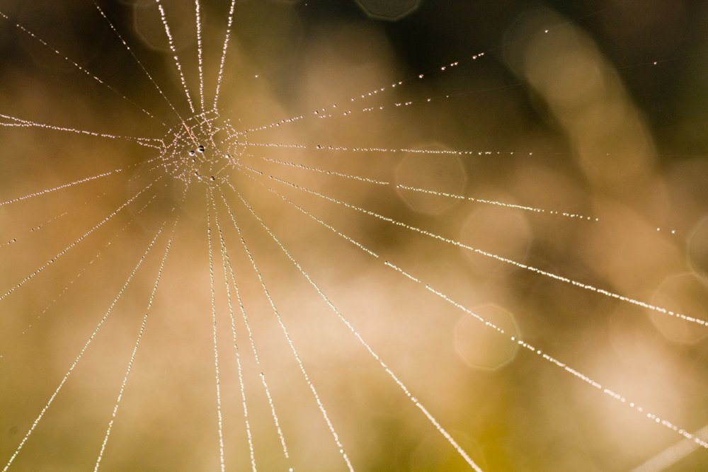 макро космос