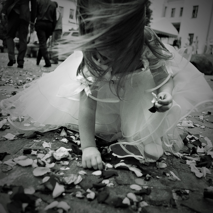 про лепестки