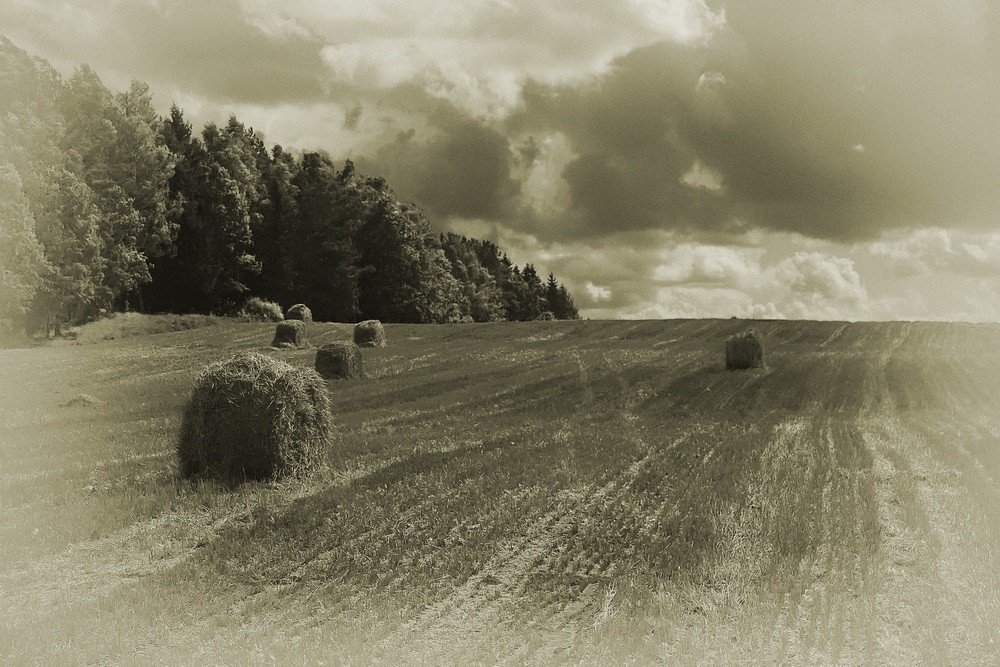 Наперегонки