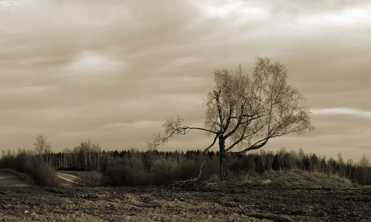 Воспоминания о весне