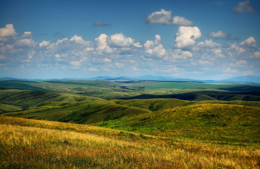 Пейзаж с холмами