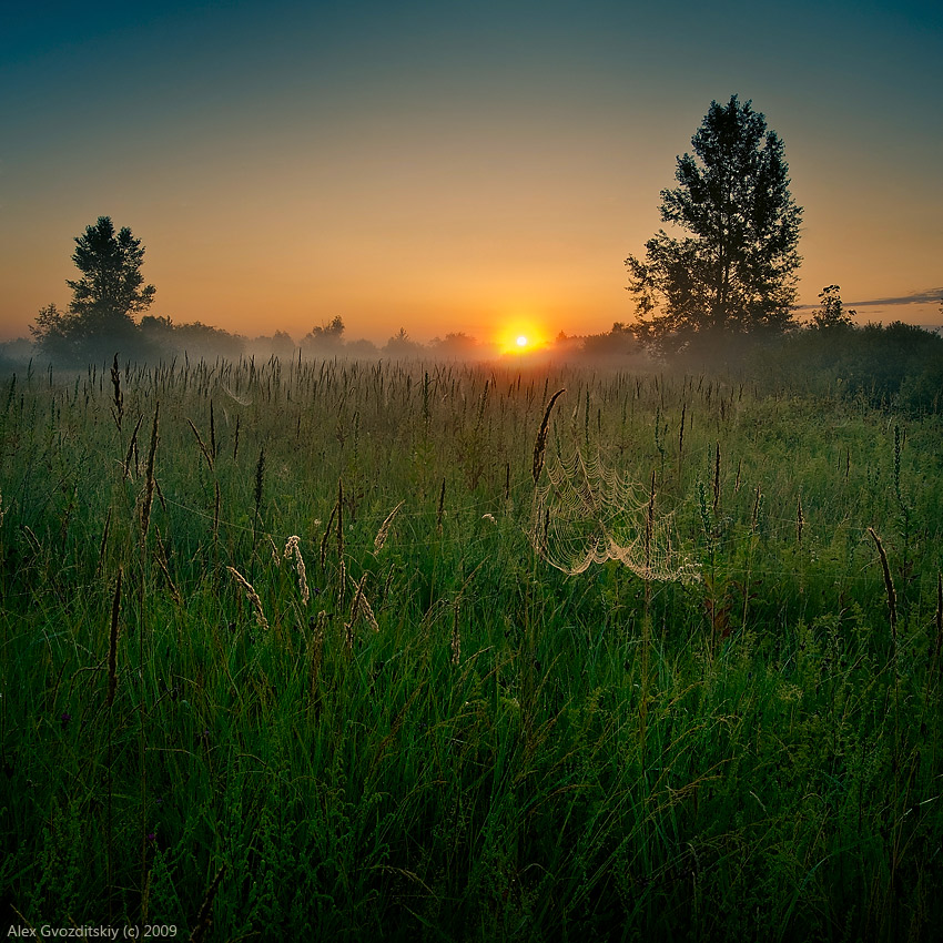 Рассвет над Полесьем