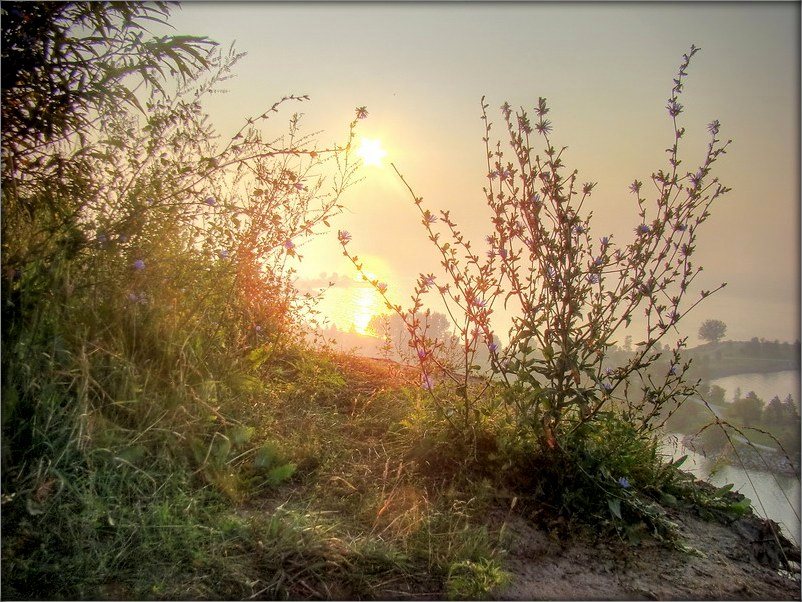 туманны ранак - сьпякотны дзень