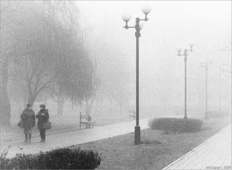 Беседы в туманное утро...