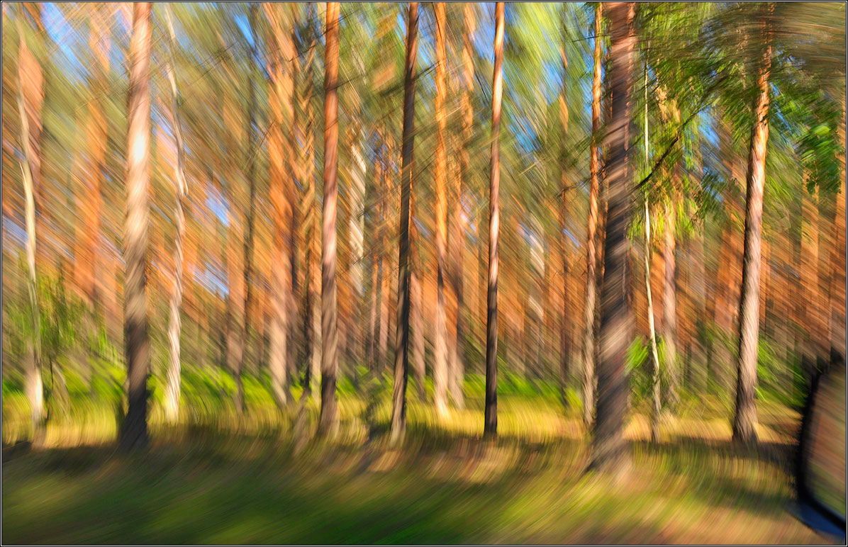 Наперегонки