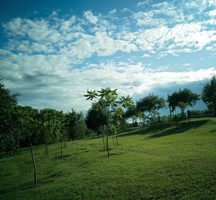 округлости земли