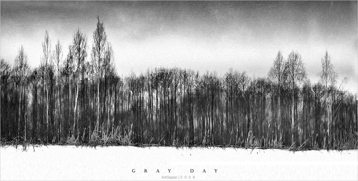 [ G R A Y * D A Y ]