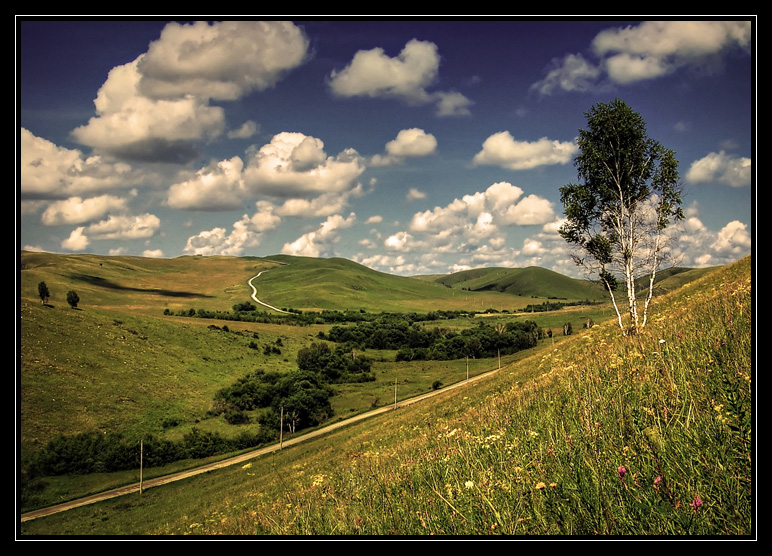 Beryozka, holmi i dorozhka