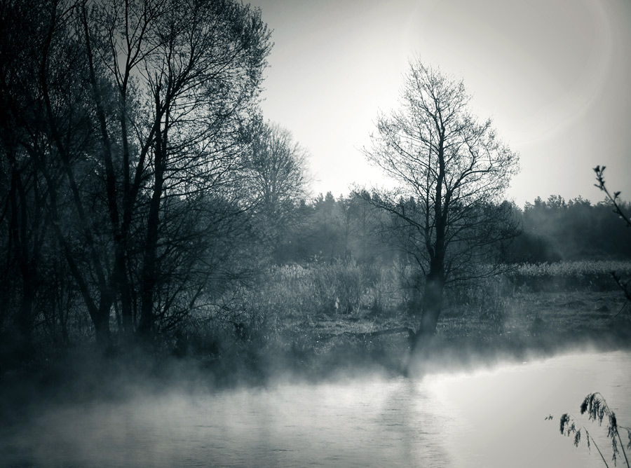 Новый день...