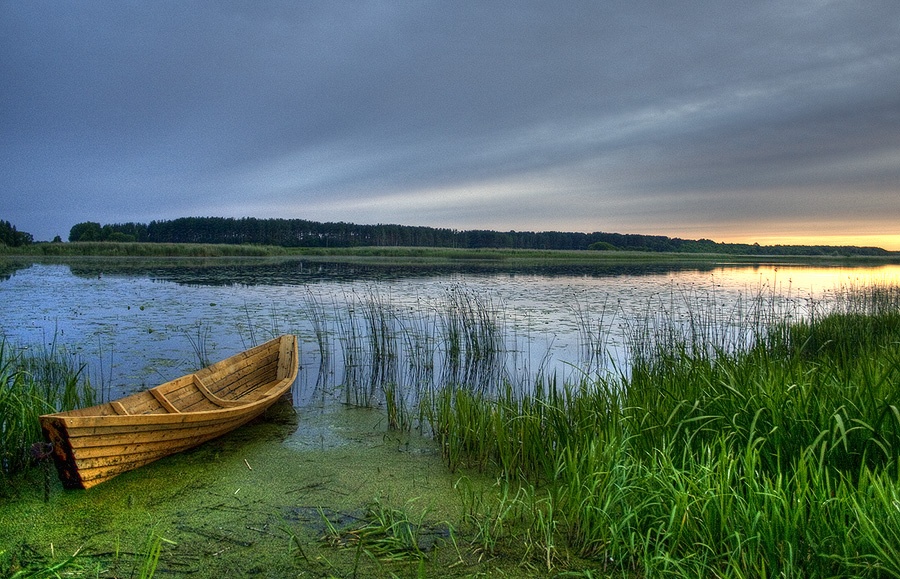 |   Предвкушение..   |