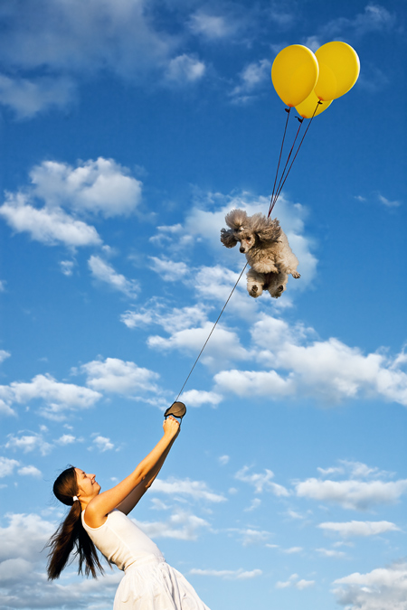 Фото про то, как мы запускали Пуделя!