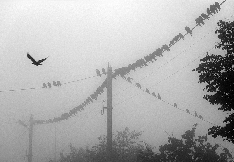 первая линейка